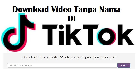 ssstiktok .com download tiktok videos without tiktok text